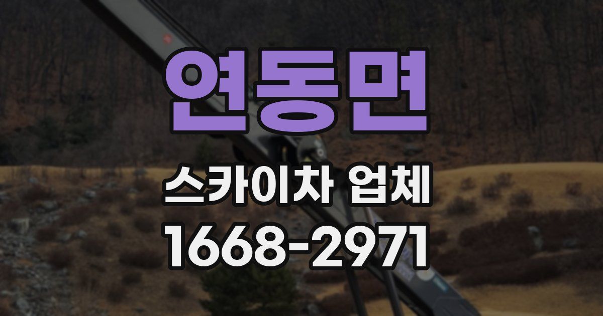 연동면 스카이차 업체