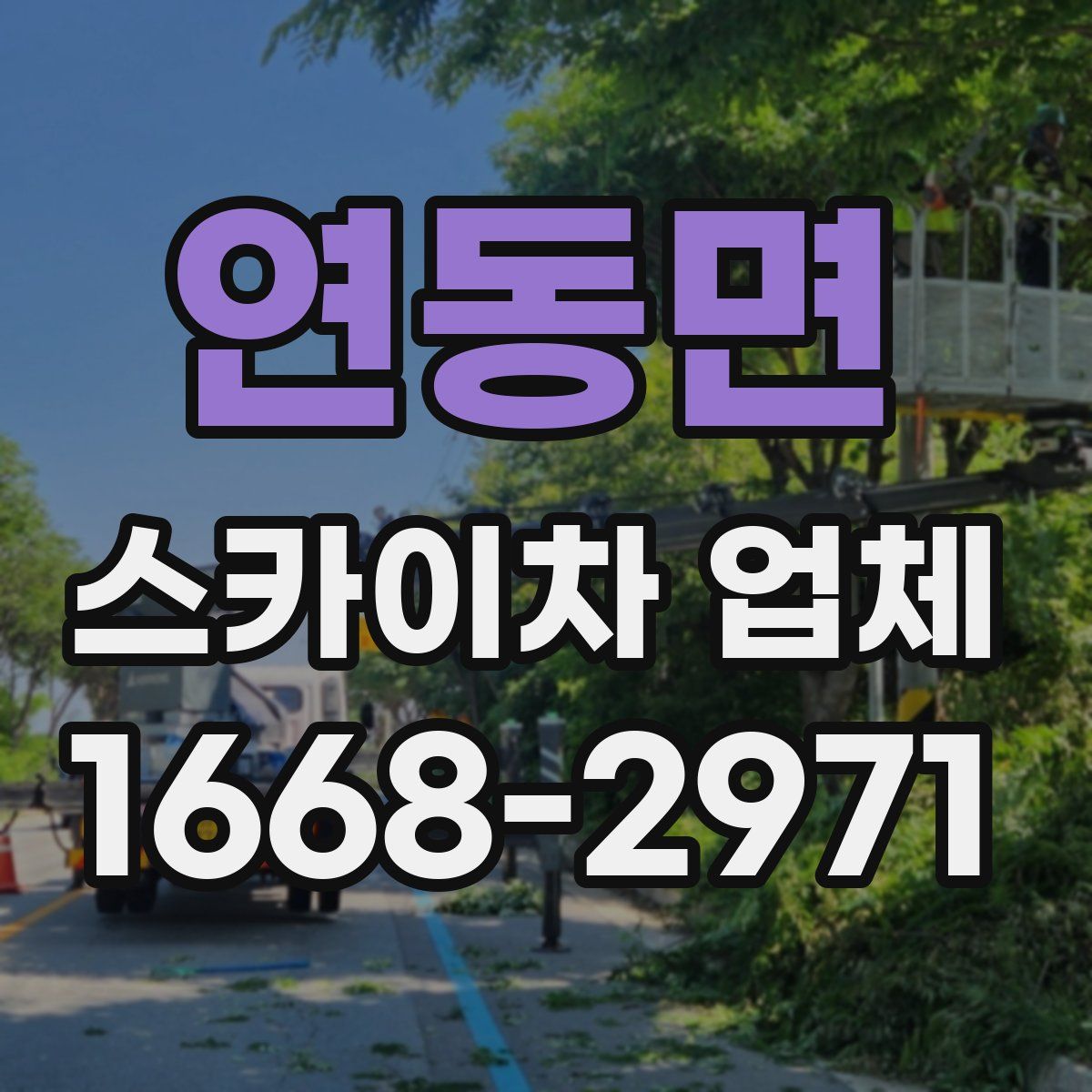연동면 스카이차 업체