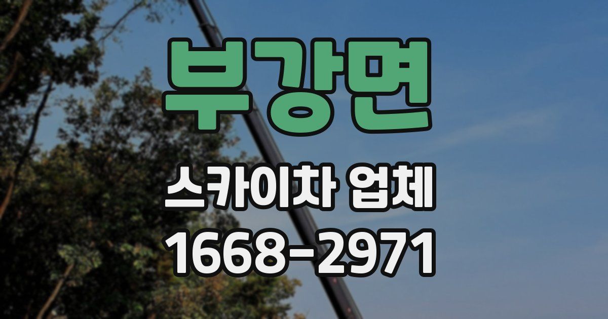 부강면 스카이차 업체