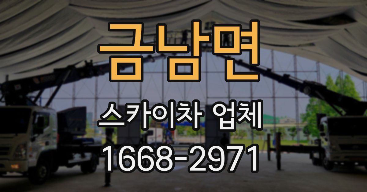 금남면 스카이차 업체