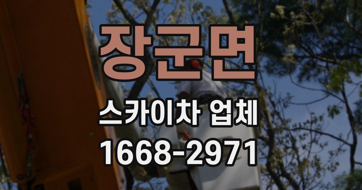 장군면 스카이차 업체