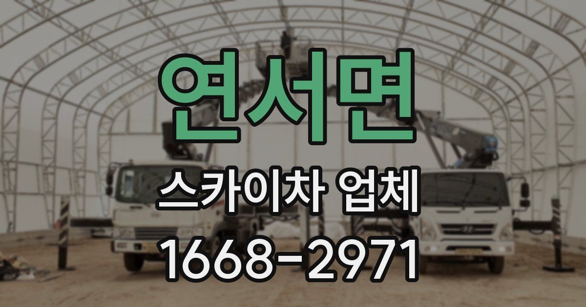 연서면 스카이차 업체
