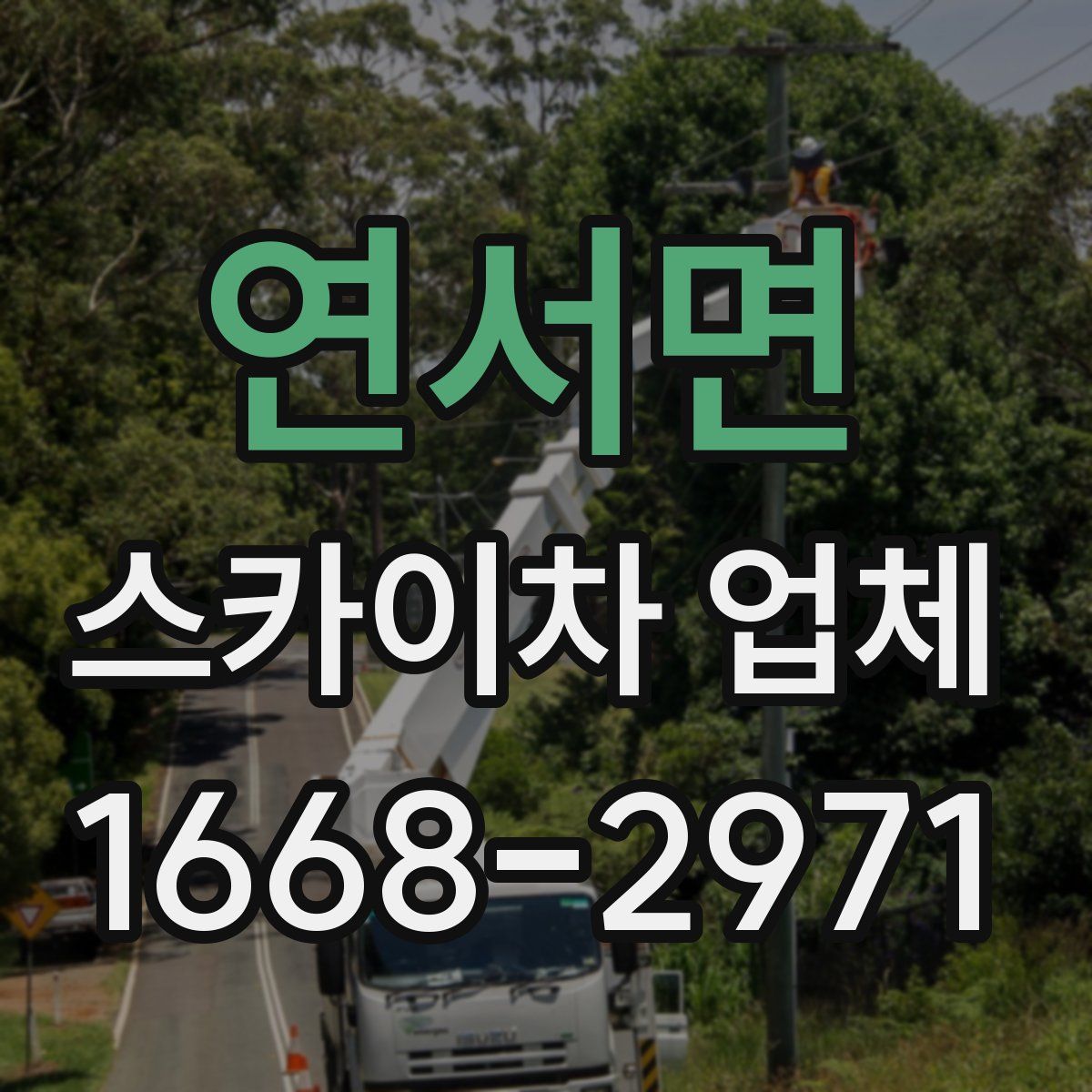 연서면 스카이차 업체