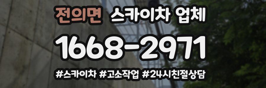 전의면 스카이차 업체