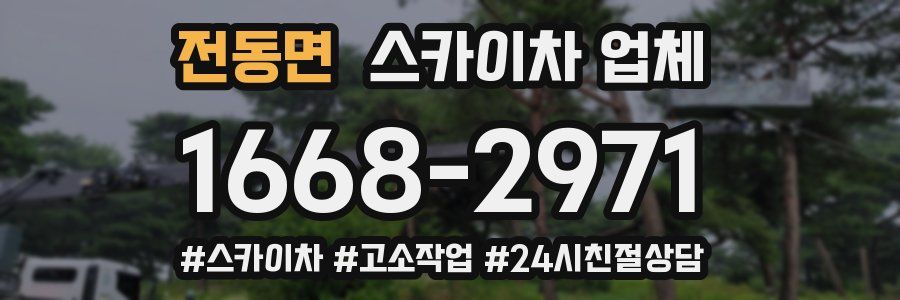 전동면 스카이차 업체