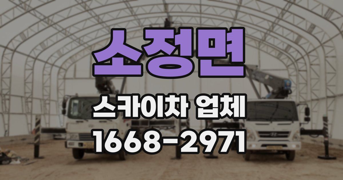 소정면 스카이차 업체