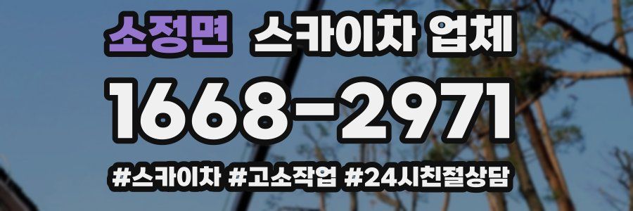 소정면 스카이차 업체
