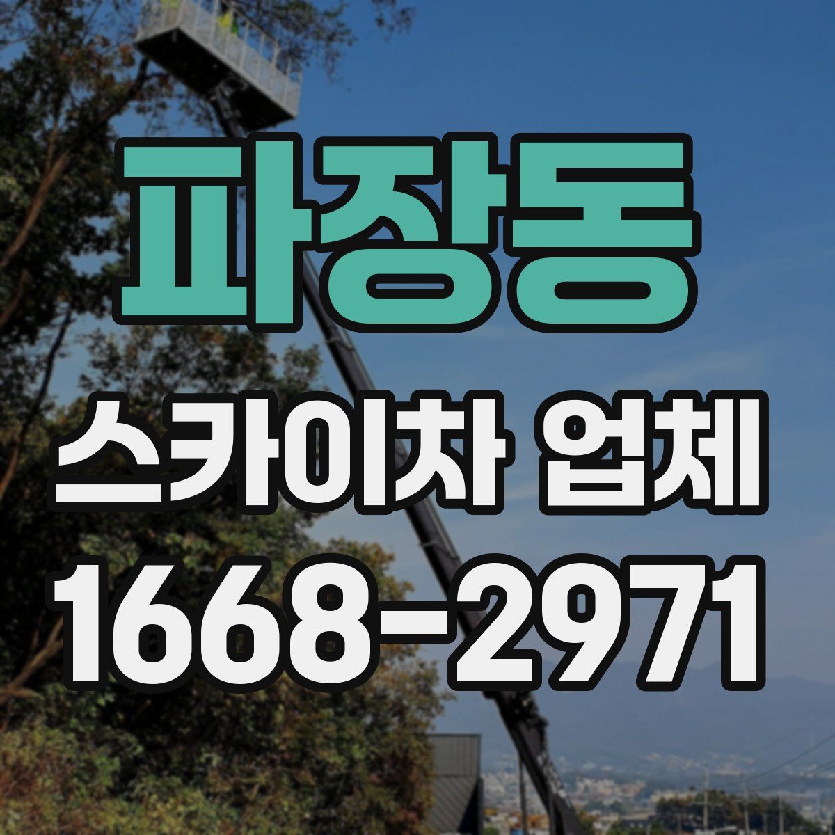 파장동 스카이차 업체