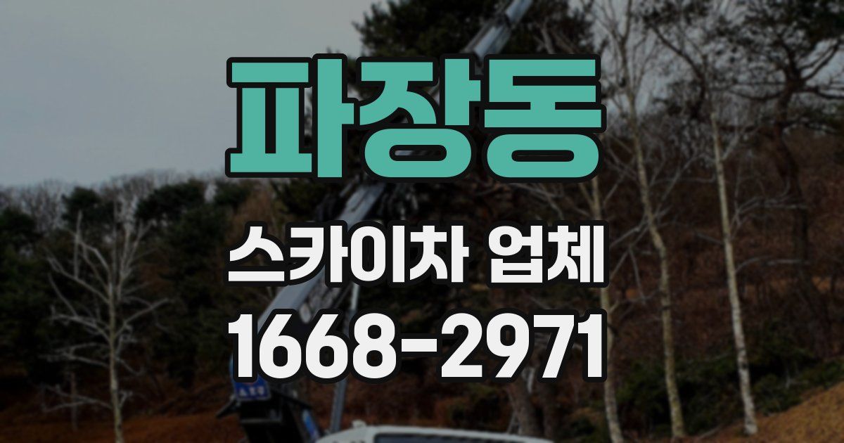 파장동 스카이차 업체