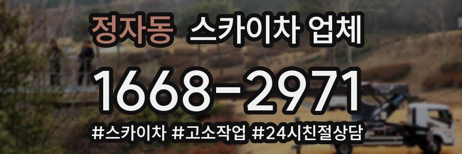 정자동 스카이차 업체