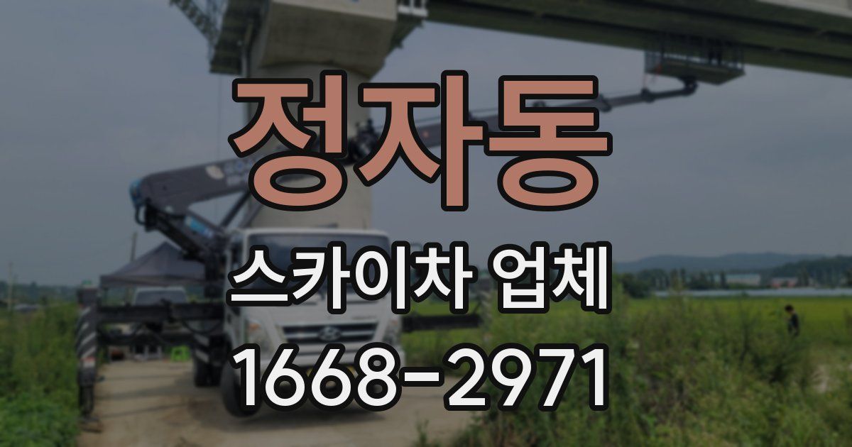 정자동 스카이차 업체