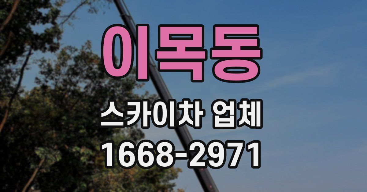 이목동 스카이차 업체