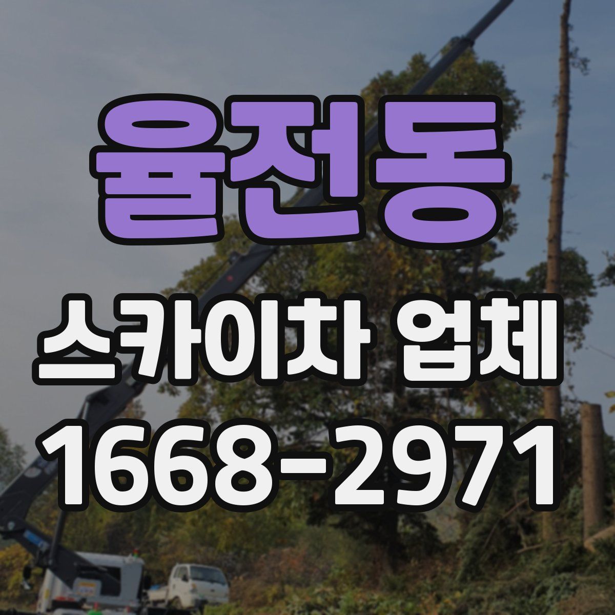 율전동 스카이차 업체