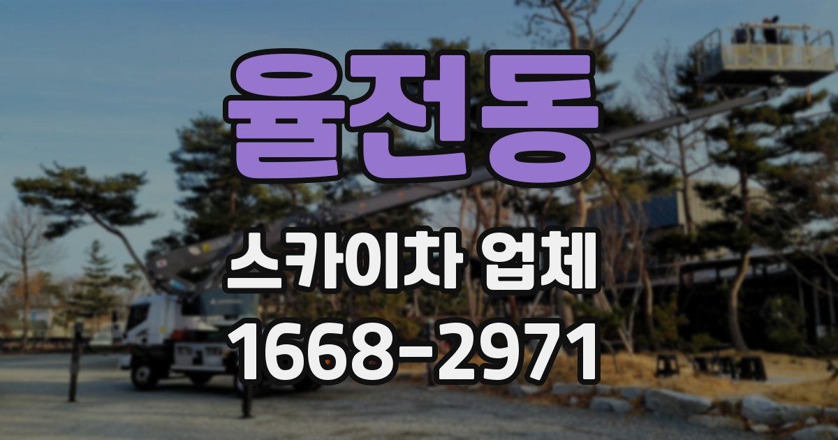 율전동 스카이차 업체