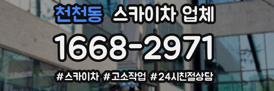천천동 스카이차 업체