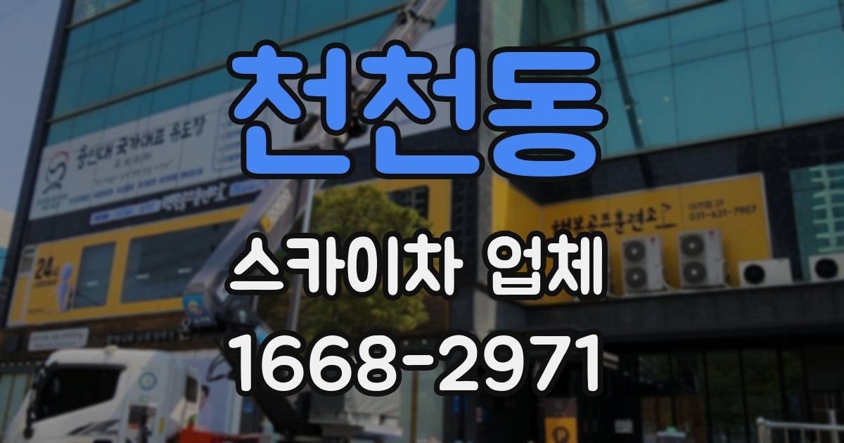천천동 스카이차 업체