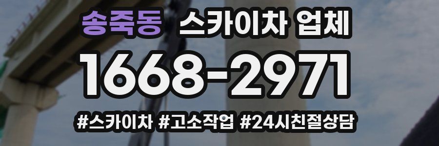 송죽동 스카이차 업체