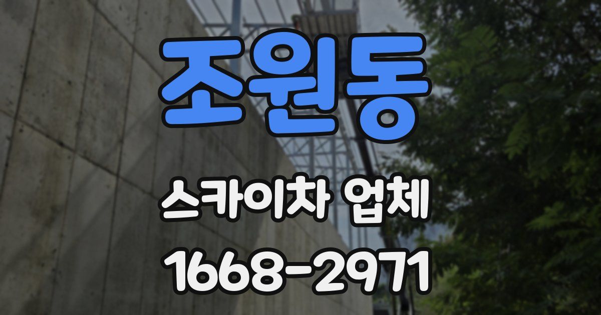 조원동 스카이차 업체