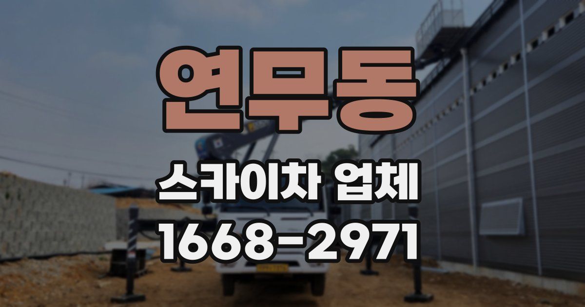 연무동 스카이차 업체