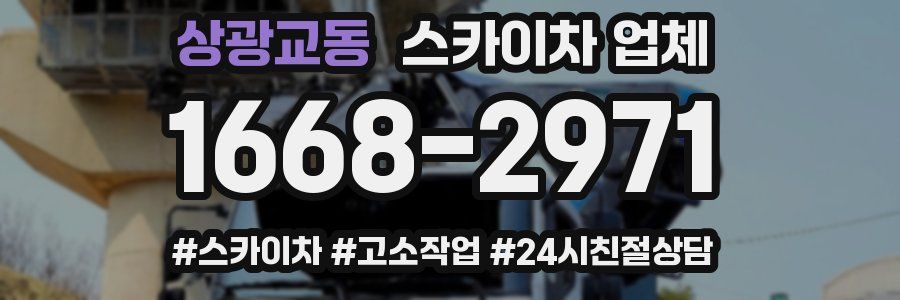 상광교동 스카이차 업체