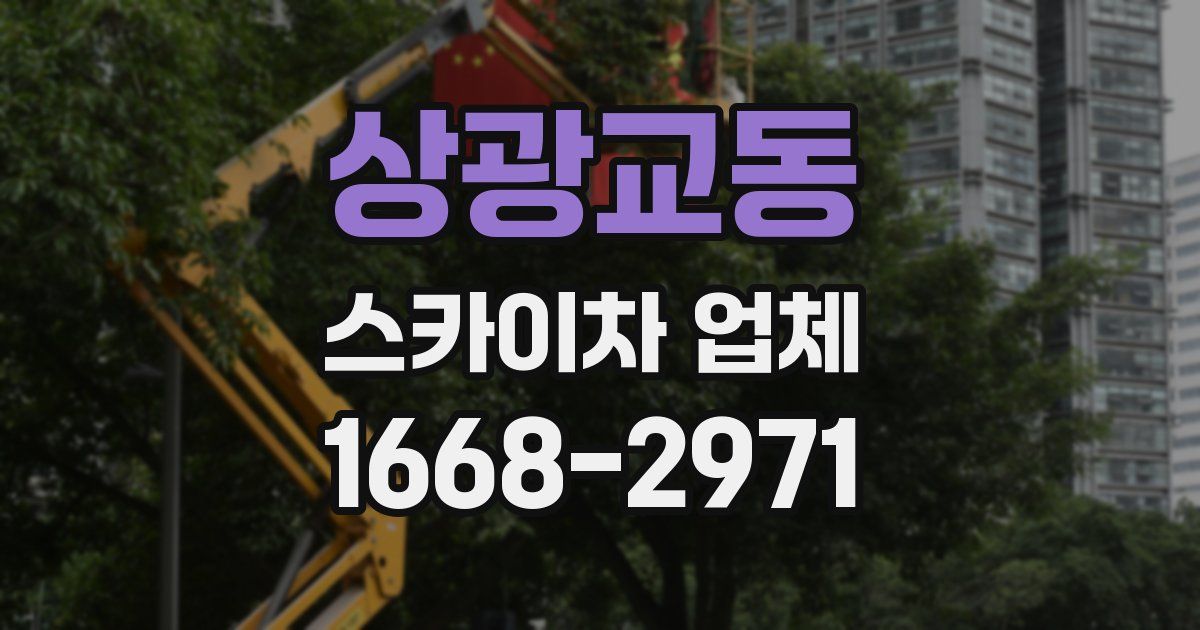 상광교동 스카이차 업체
