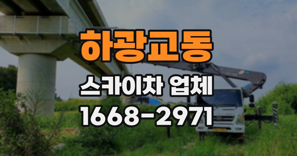 하광교동 스카이차 업체