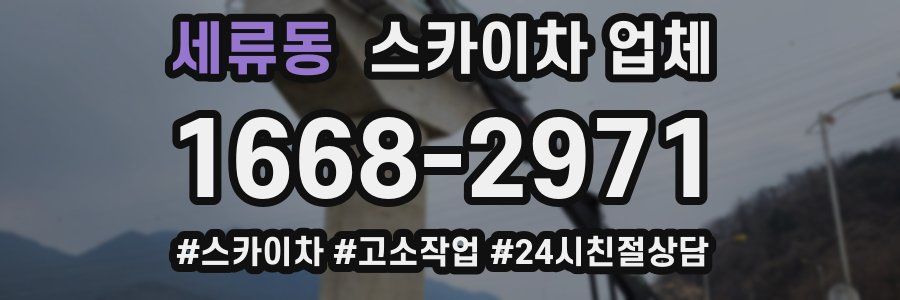 세류동 스카이차 업체