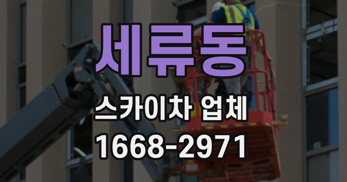세류동 스카이차 업체