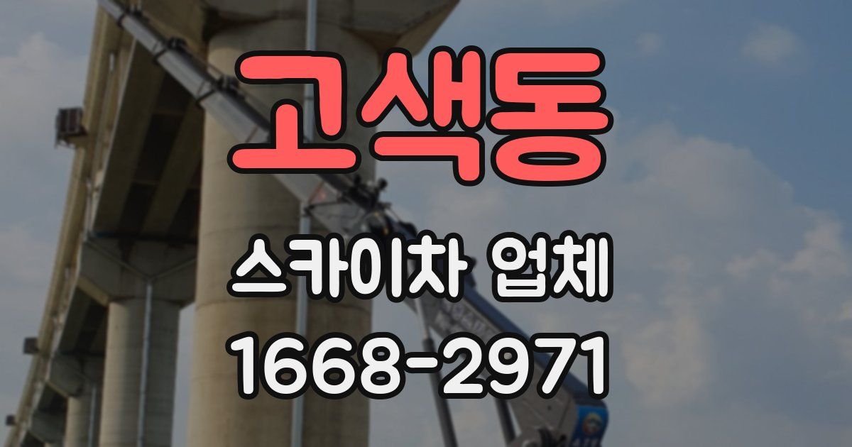 고색동 스카이차 업체