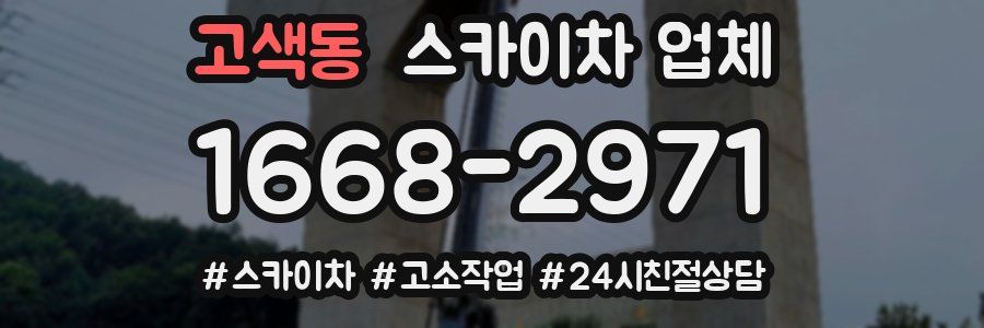 고색동 스카이차 업체