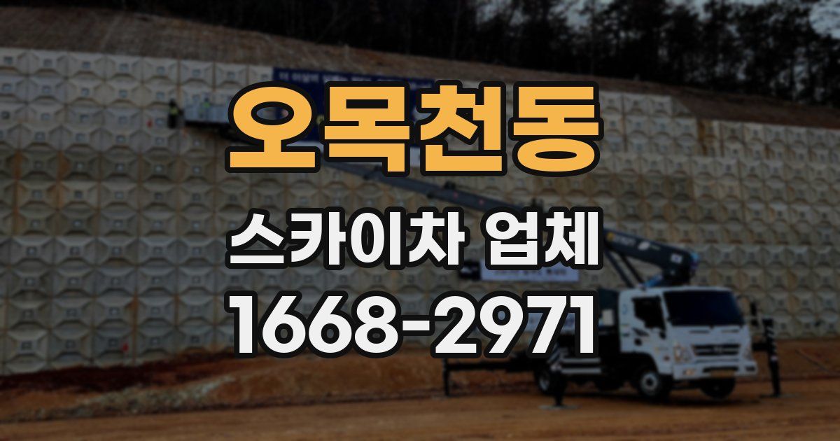 오목천동 스카이차 업체