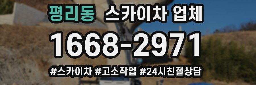 평리동 스카이차 업체