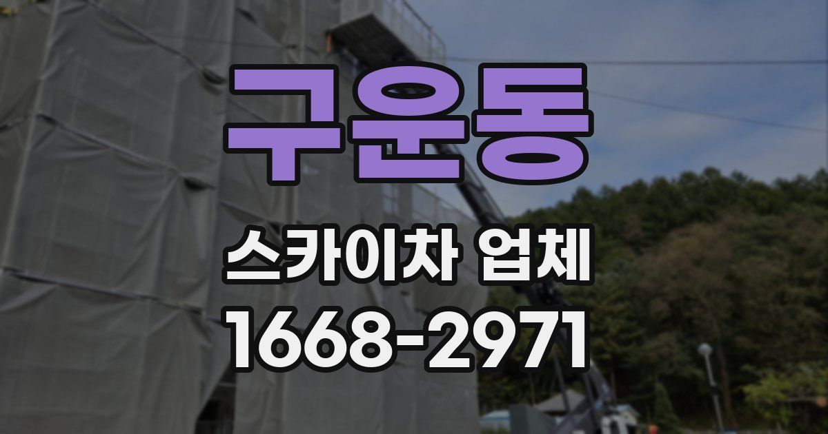구운동 스카이차 업체