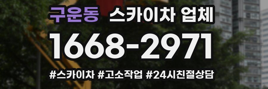 구운동 스카이차 업체