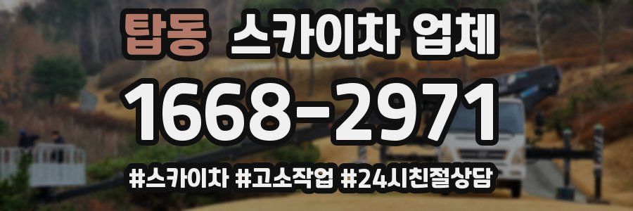 탑동 스카이차 업체
