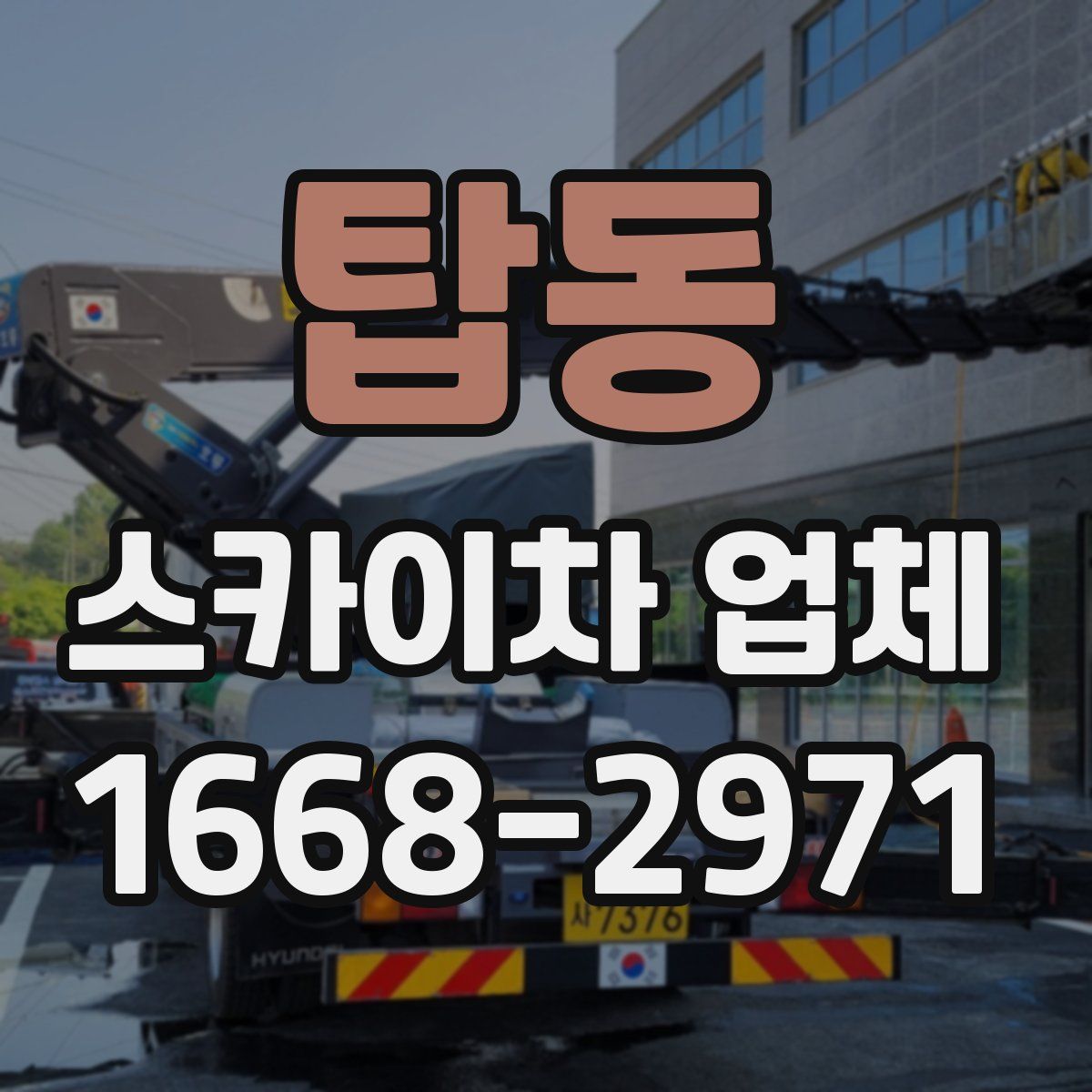 탑동 스카이차 업체