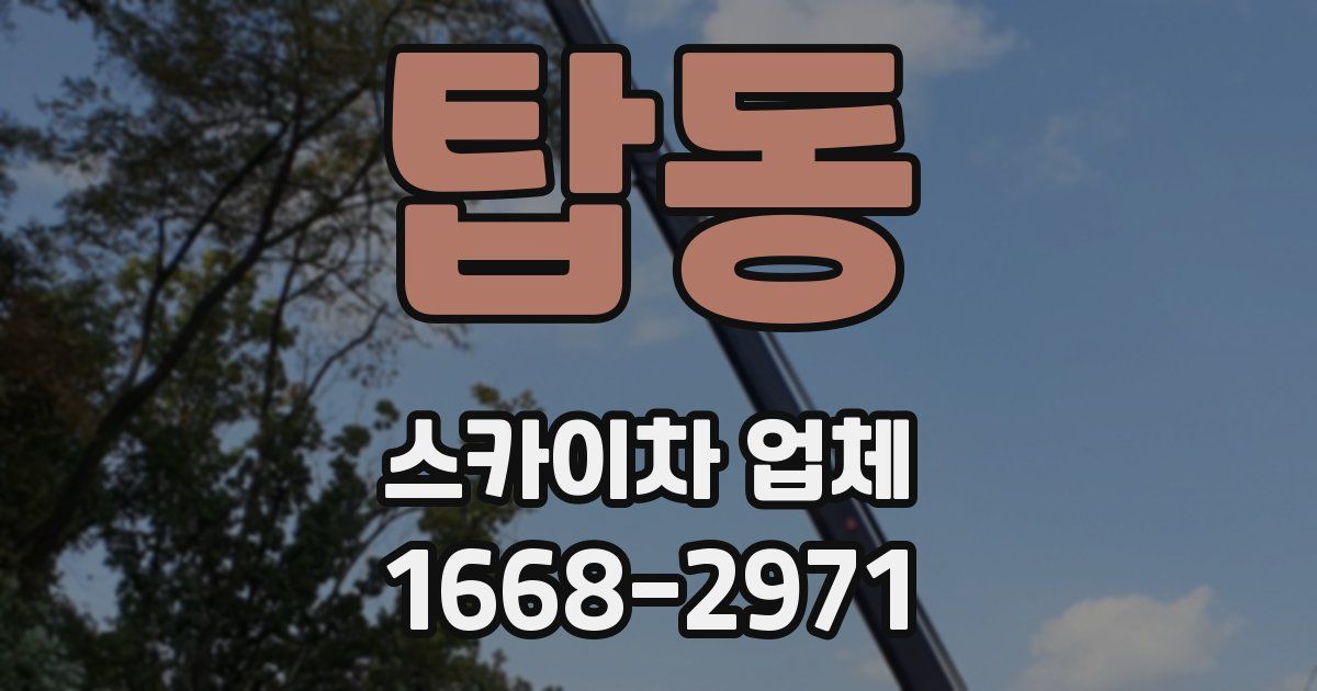 탑동 스카이차 업체