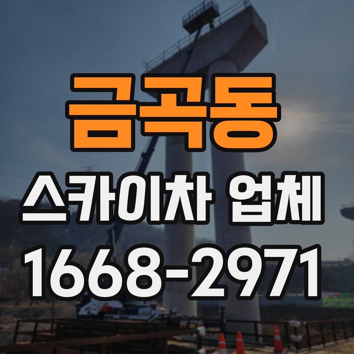 금곡동 스카이차 업체
