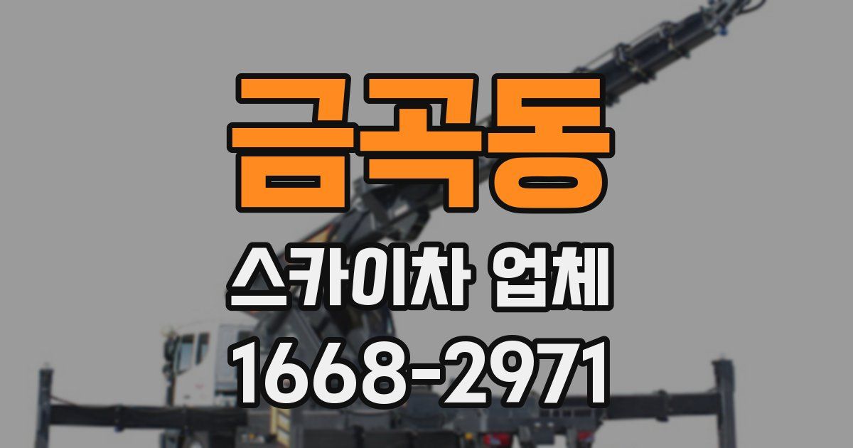 금곡동 스카이차 업체