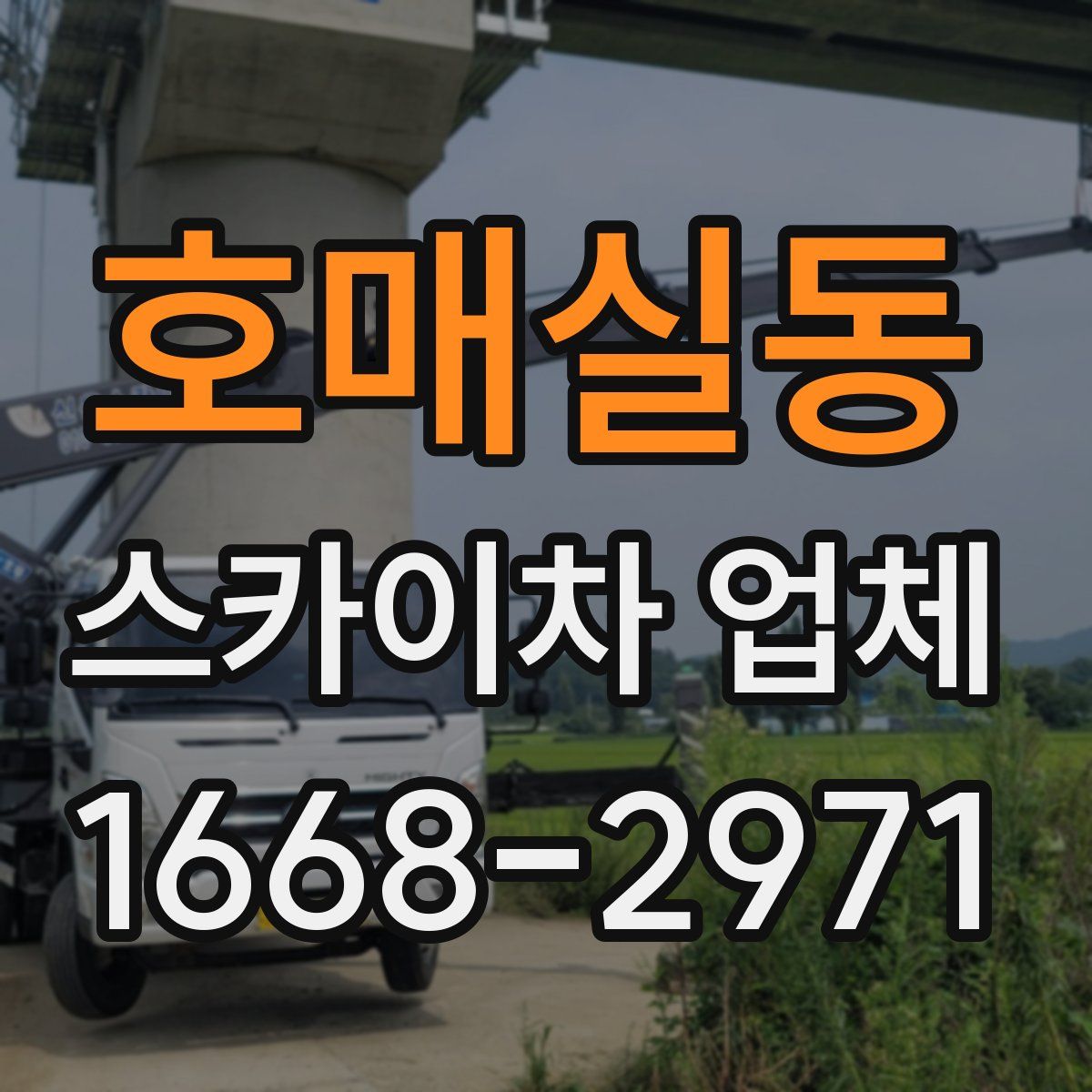 호매실동 스카이차 업체