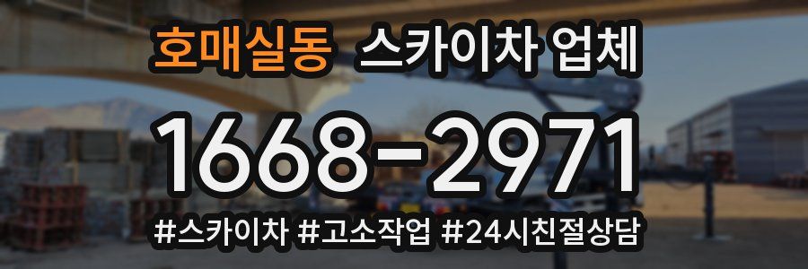 호매실동 스카이차 업체