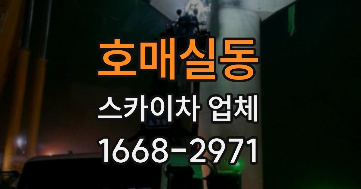 호매실동 스카이차 업체