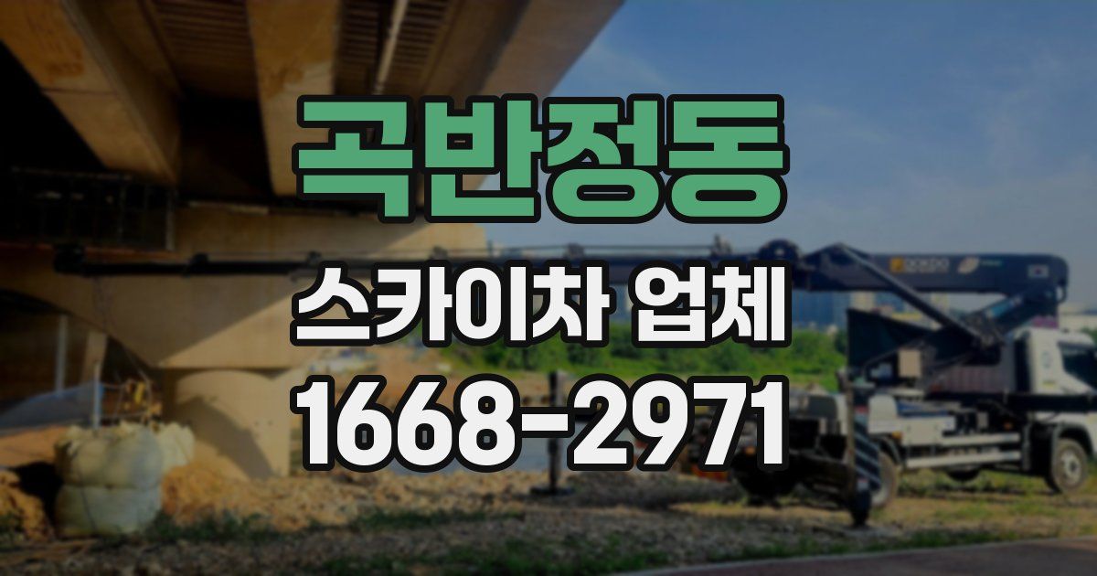 곡반정동 스카이차 업체