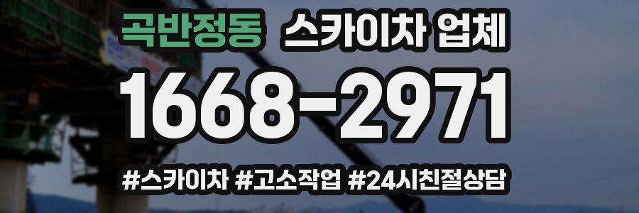 곡반정동 스카이차 업체