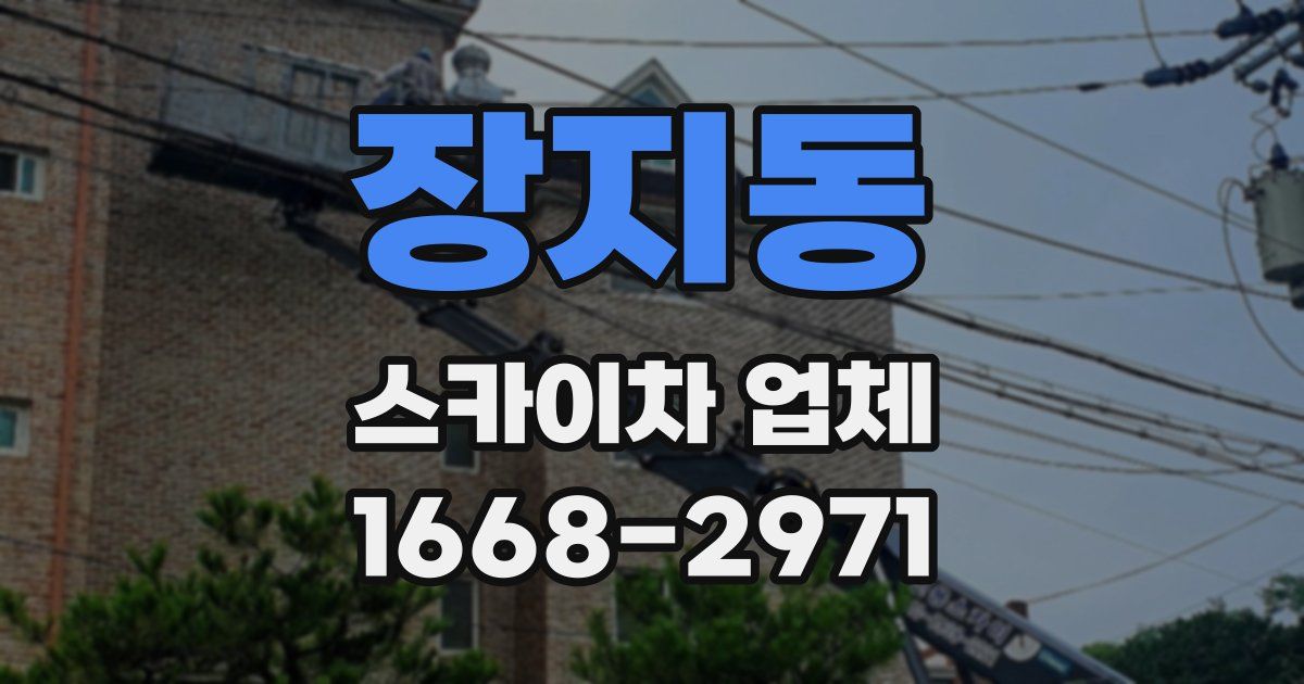 장지동 스카이차 업체
