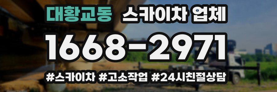 대황교동 스카이차 업체