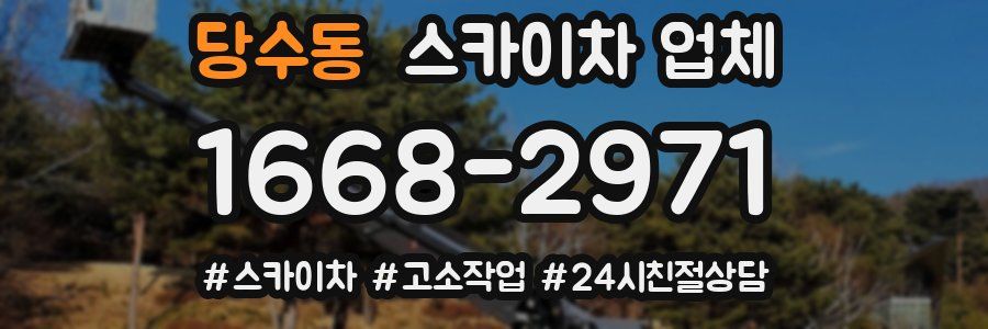 당수동 스카이차 업체