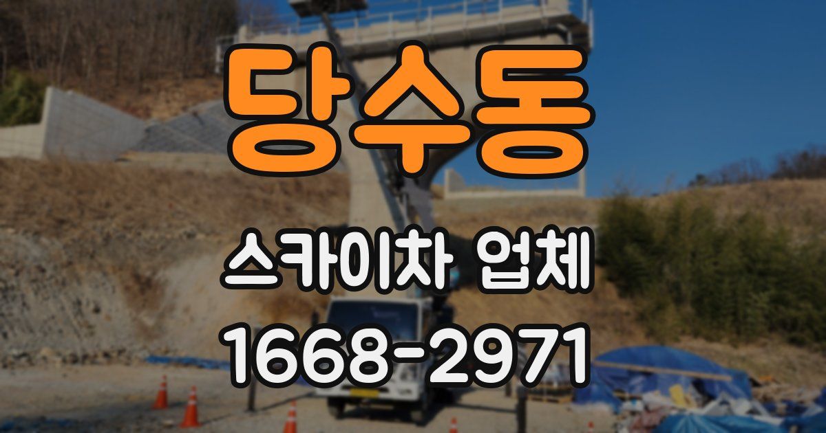 당수동 스카이차 업체