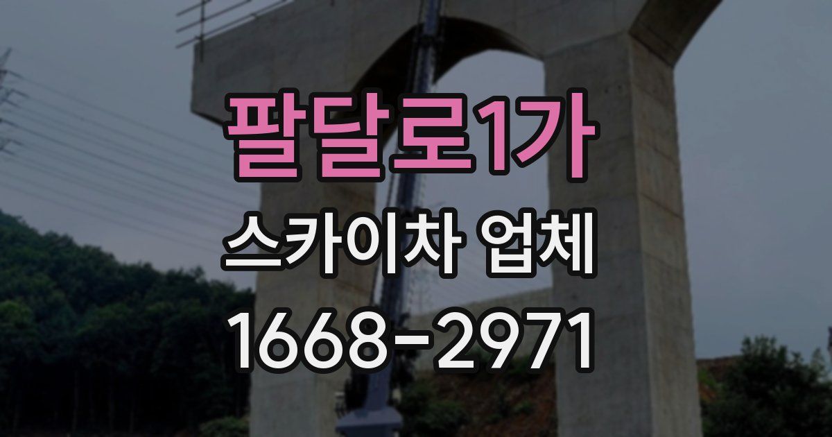 팔달로1가 스카이차 업체