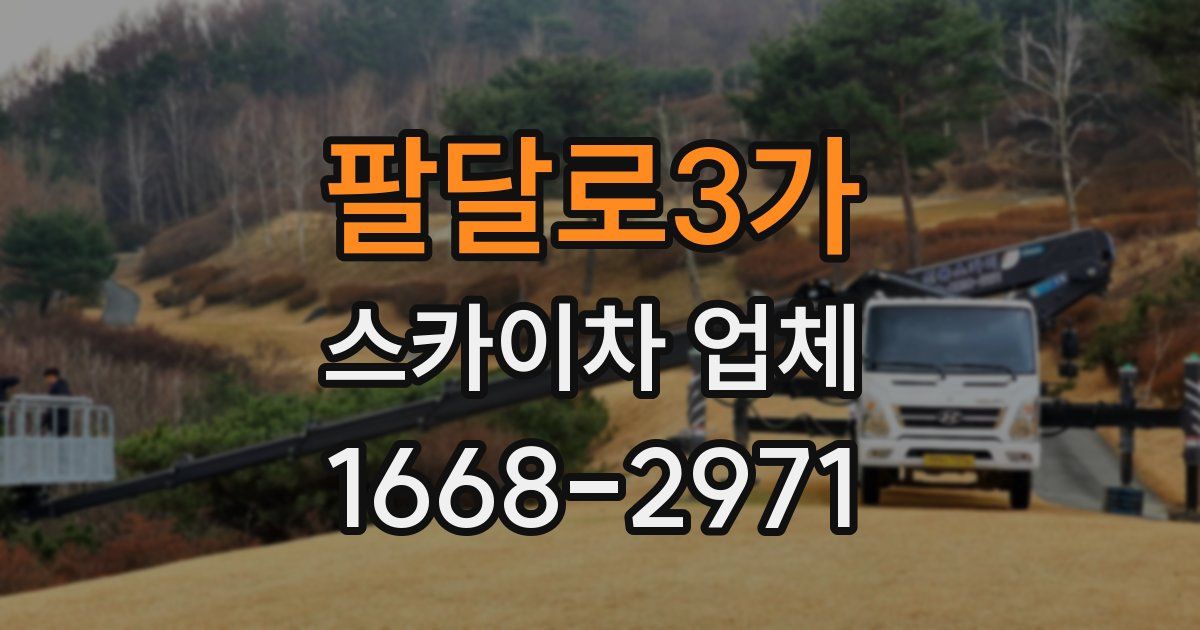 팔달로3가 스카이차 업체